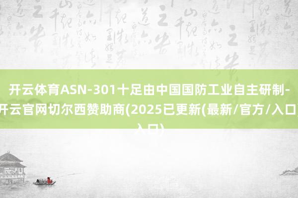 开云体育ASN-301十足由中国国防工业自主研制-开云官网切尔西赞助商(2025已更新(最新/官方/入口)