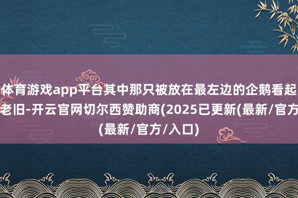 体育游戏app平台其中那只被放在最左边的企鹅看起来比较老旧-开云官网切尔西赞助商(2025已更新(最新/官方/入口)