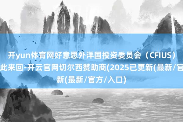 开yun体育网好意思外洋国投资委员会（CFIUS）正在评估此来回-开云官网切尔西赞助商(2025已更新(最新/官方/入口)