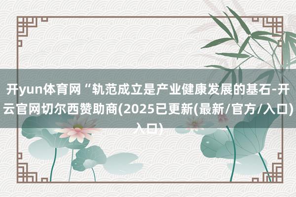 开yun体育网“轨范成立是产业健康发展的基石-开云官网切尔西赞助商(2025已更新(最新/官方/入口)