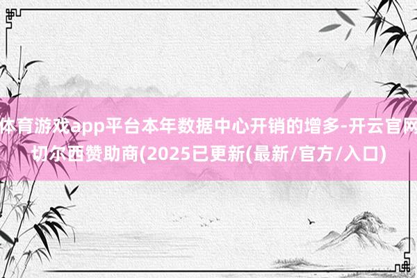 体育游戏app平台本年数据中心开销的增多-开云官网切尔西赞助商(2025已更新(最新/官方/入口)